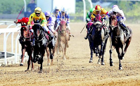 武汉国际赛马节周六开跑 11场大赛齐聚70余位