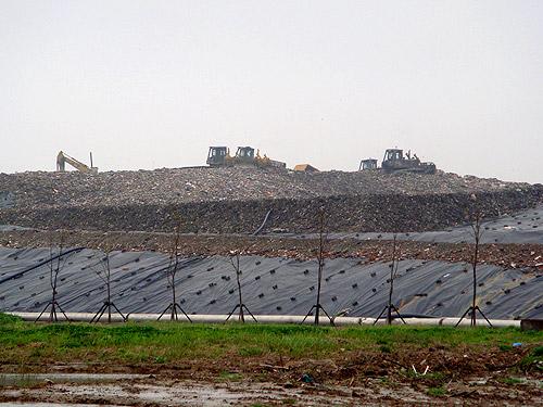 上海老港垃圾填埋场大变身 计划建成城市后花园_新浪上海_新浪网