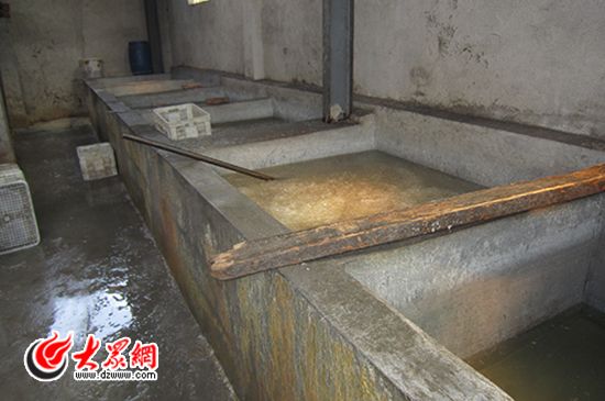 毒粉條用工業(yè)明膠合成,日產(chǎn)量達(dá)5000公斤