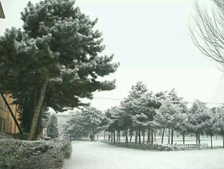 10月10日山西大同大雪纷飞。(图片来自网络)