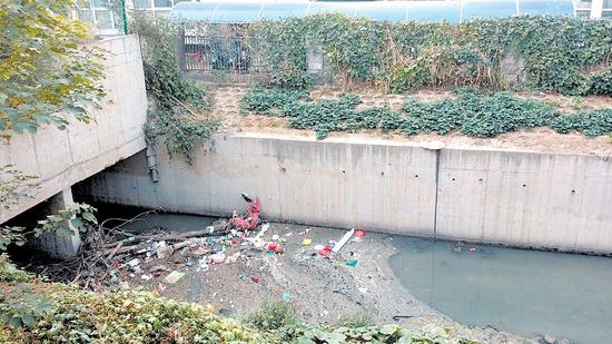 纱厂明沟内积水变质,附近居民生活深受影响