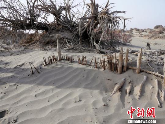 图片版权归原作者所有