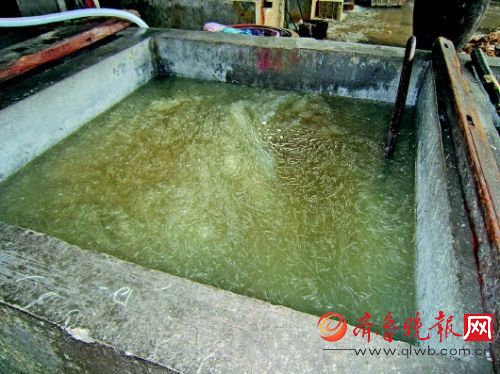 被端掉的毒粉條加工窩點。 警方供圖