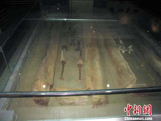 图片版权归原作者所有