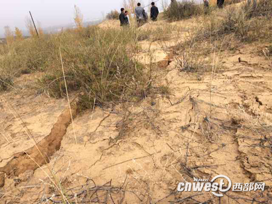 采空塌陷區(qū)域出現(xiàn)了十多厘米寬的裂縫。