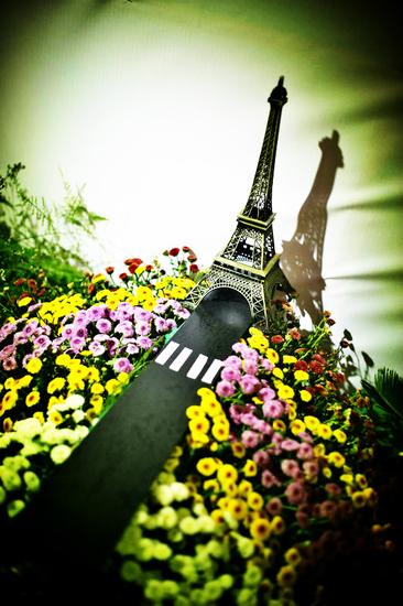 第四屆中國菊花插花藝術展在中國翰園開幕