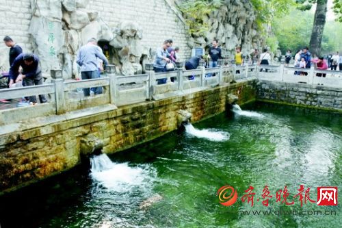 黑虎泉噴涌形勢(shì)大不如前。齊魯晚報(bào)記者　蔣龍龍　攝