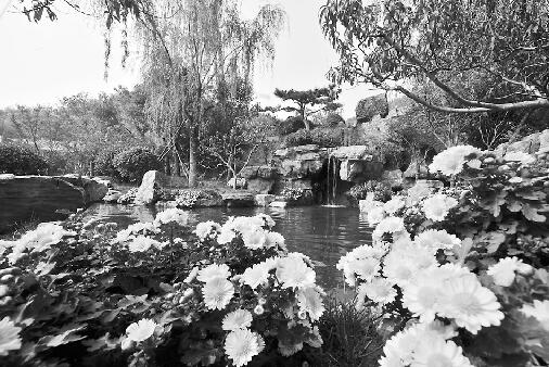 21日，臥虎山山體公園水景。 記者高歌 攝