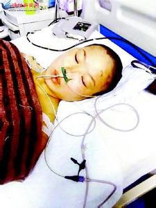  女子遭狗咬骗捐 :警方调查捐款账户 捐者拟报案