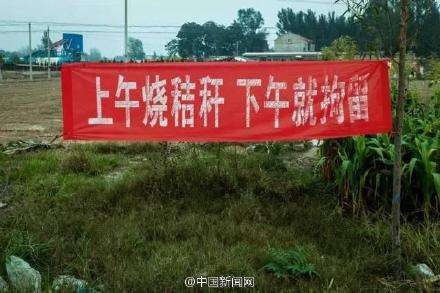 河南现环保标语:焚烧秸秆时 就是坐牢日