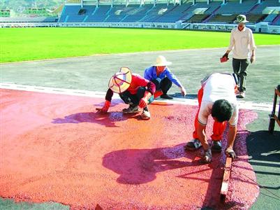 由于行业标准缺失，不法厂商为了节约成本，追求利益最大化，会往塑胶原料中添加有毒塑化剂，以增加劣质跑道的弹性，使其达到国家标准。 CFP