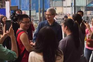 ��˵��ú���ƻ�������꣺�������ߺ�Ӱ