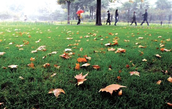秋雨中的绿城广场