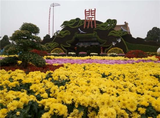 菊花香里的龍亭