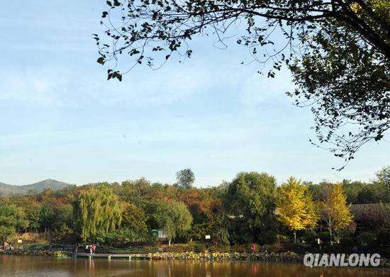 1024գɭֹ԰ҶھСͼΪοڹ԰ڸı