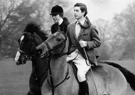 马术硬科普:三千多年历史 为何人们称其为贵族