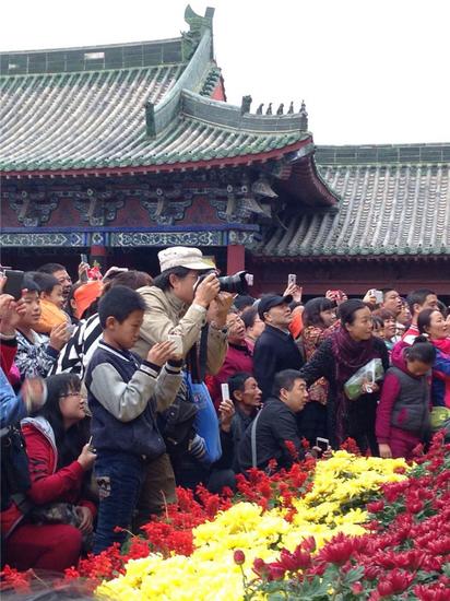 菊花香里的開封府