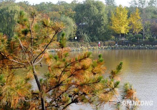 1024գɭֹ԰ҶھСͼΪοڹ԰ڸı