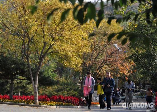 1024գɭֹ԰ҶھСͼΪοڹ԰ڸı