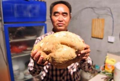 咸安区农民种出11斤巨型红薯 称此生第一次见
