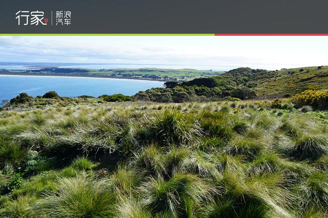 动心之旅 狂嗨自驾澳洲大洋路