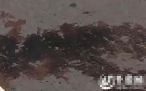 记者赶到香庭湾小区时,看到小区里共建了4栋新建高层居民楼。而其中一栋楼下,还有触目惊心的鲜血染在地上。(视频截图)