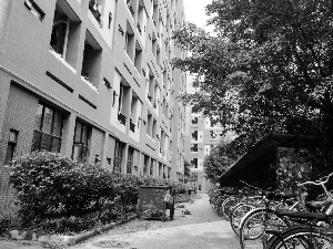 周同学砍伤宿管和同学后坠楼的位置。
信息时报记者 康健 摄