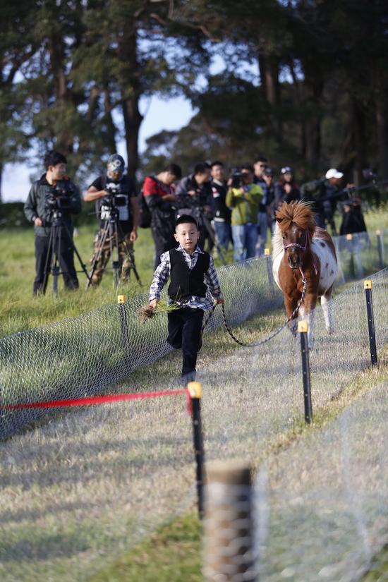 驯龙高手!爸爸3大竣澳洲农场俘获霸王龙
