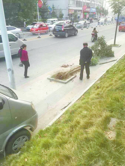 □首席记者何正权通讯员汪星晨文图