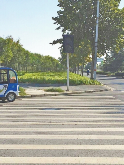 “睜眼瞎”：我也想正常上崗！