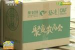 借力電商巧發(fā)展 打造“網(wǎng)上永不閉館”的農(nóng)高會