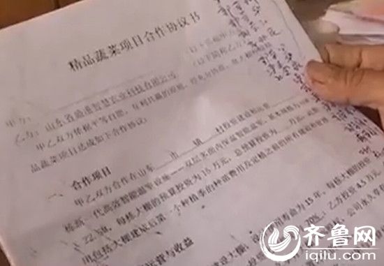 镇上发的精品蔬菜项目合作协议书。(视频截图)