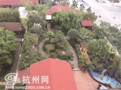 杭州1小区楼顶有个1000平 最牛后花园  有水池