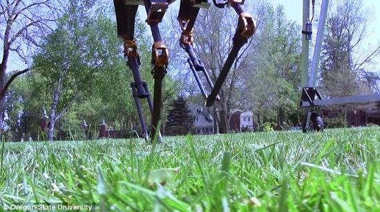 人工智能融入生活 机器人有望像人类般行走|人