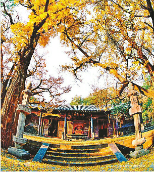 秋日靈巖寺 通訊員翟傳虹 攝