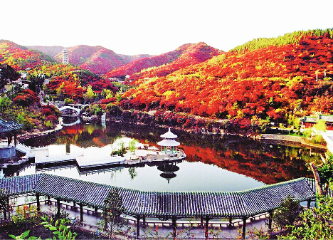 紅葉谷賞紅葉正當時