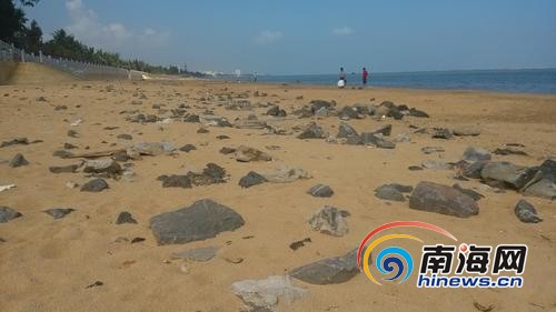 西海岸沙滩遍布乱石，绵延超过1公里