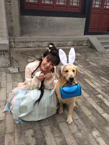 李金铭在《医馆2》里面带着狗狗当助理