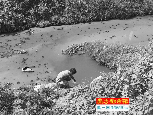 9月底,高窟河被污染成红色,惠城区环保分局工作人员在现场取水样。