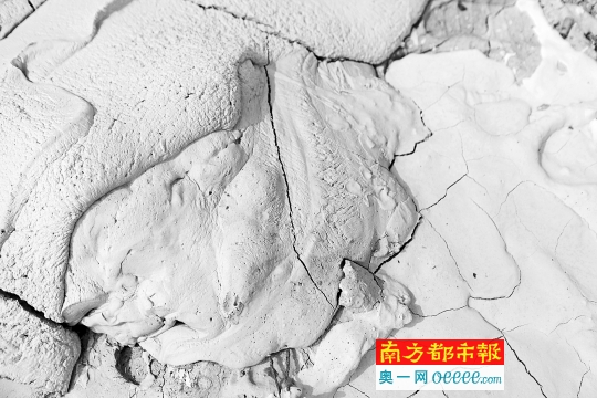 小金村宝石加工厂附近河沟里满是白色“泥浆”。