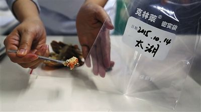 松鼠实验室人员从螃蟹中取出蟹黄样本。新京报实习生 徐亚辉 摄