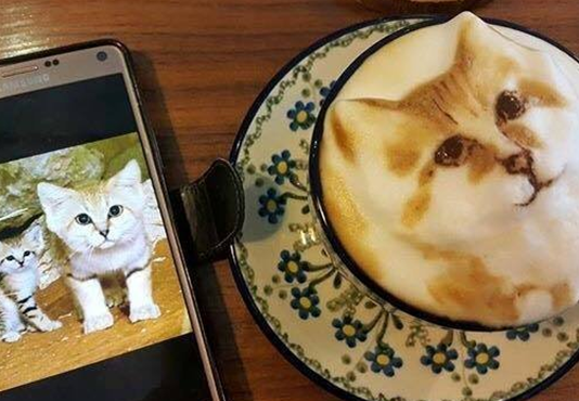 惊为天人的咖啡立体拉花