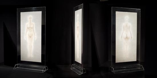 绘画雕塑-女人体研究192x88cm x2