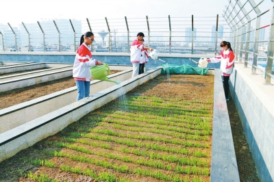 校園·樓頂·有點兒田