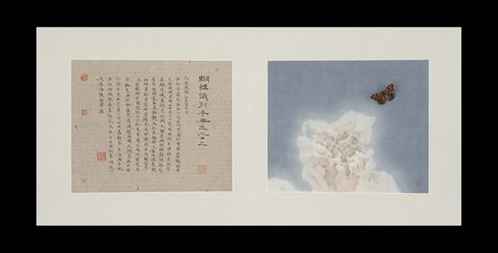 2015年《蝴蝶识别手册之二十二》,纸本绘画+蝴蝶标本 30×36cmx2