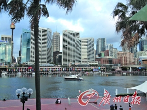 澳收紧海外人士购房政策 申请费起点为5000澳