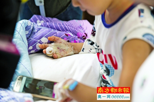 一男童发现父亲床底所藏枪