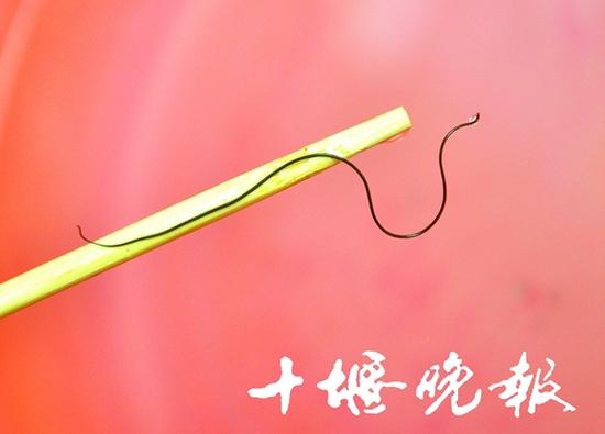 自來(lái)水管流出“紅蟲(chóng)”