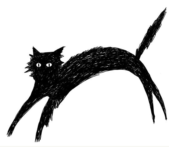 杭州15岁少年虐猫视频疯传 虐猫QQ群让人头皮