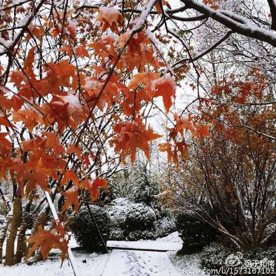 于和伟微博所晒雪景